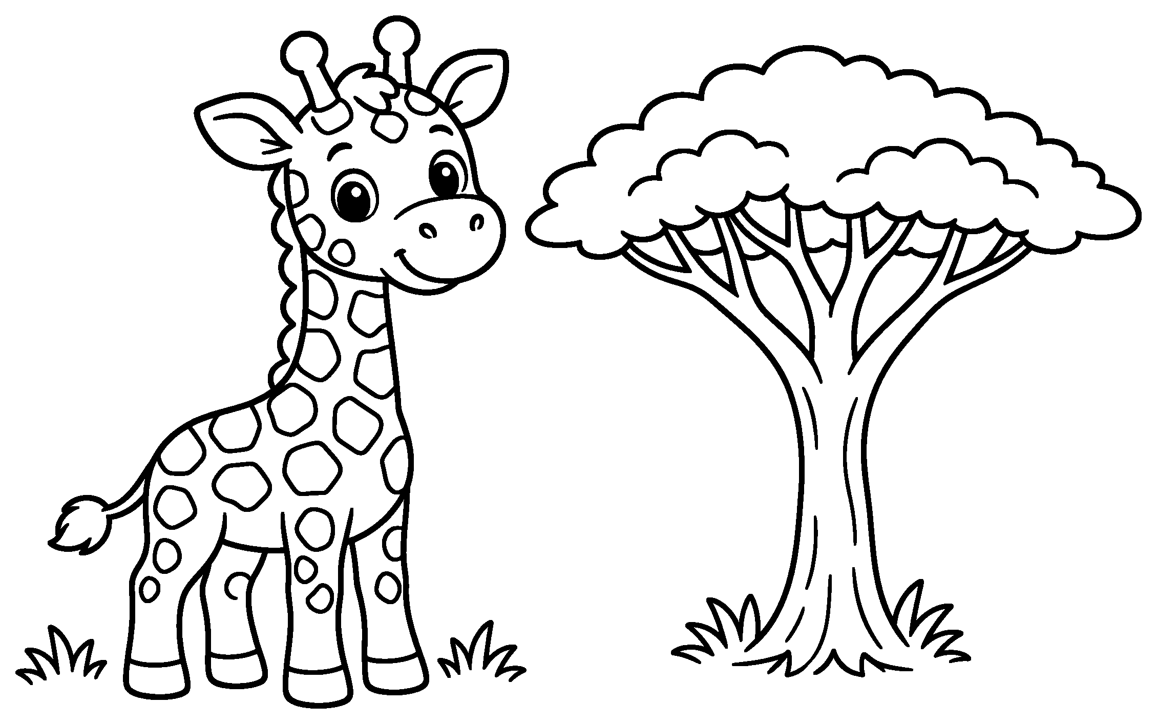 Cute spotted giraffe standing beside an acacia tree, black outline coloring page
