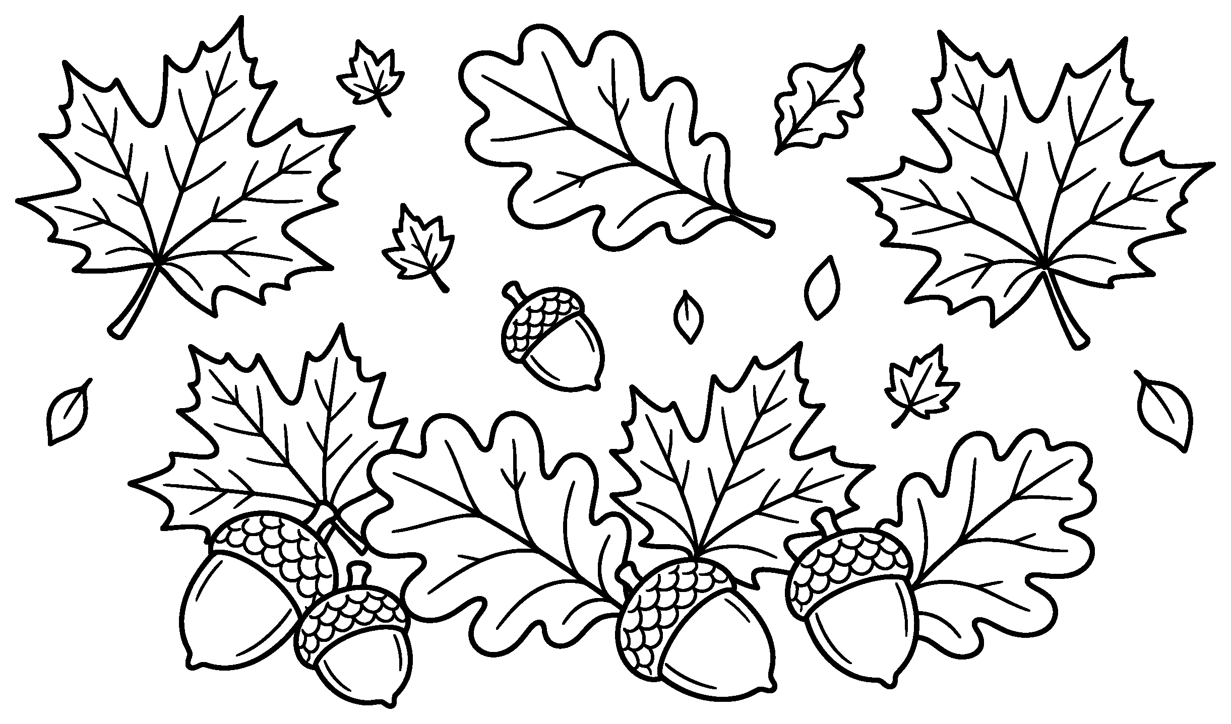 Maple and oak leaves with acorns, black outline coloring page